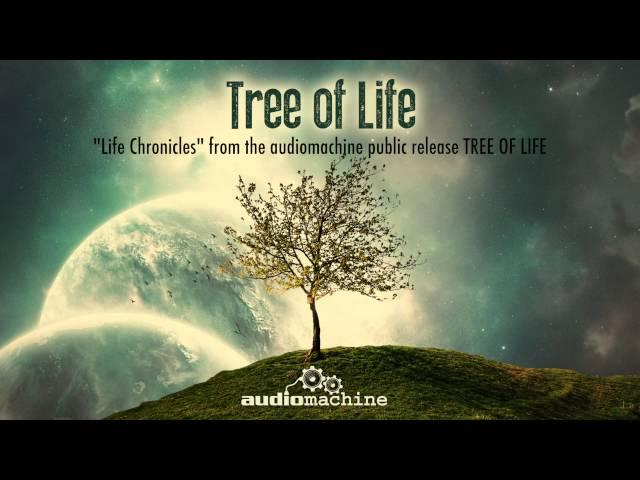 Audiomachine - Life Chronicles