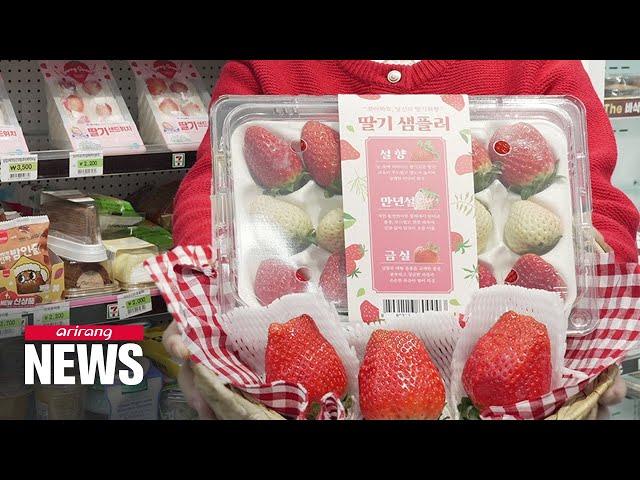 S. Korea cultivates new varieties of strawberries