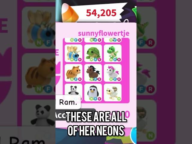 30 neon pets ADOPT ME! 🩵 I asked this girl if i could see her 30 neon pets and she sad YES 