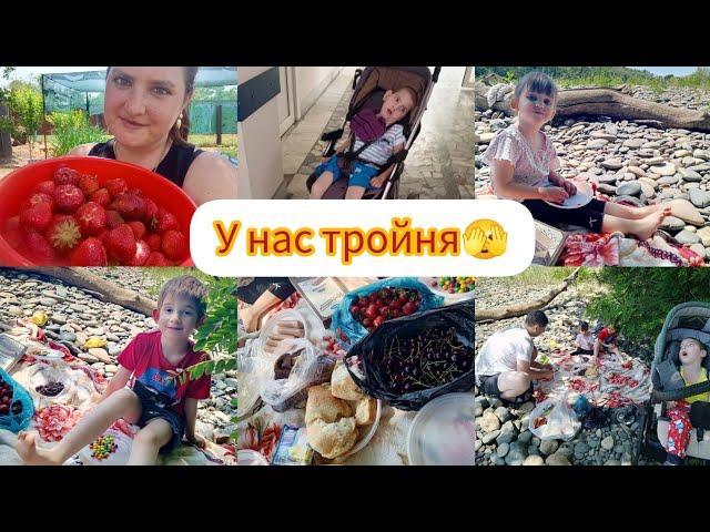 У нас тройня 🫣/ навестила бабулю/ собрала ягоды / наготовила дома