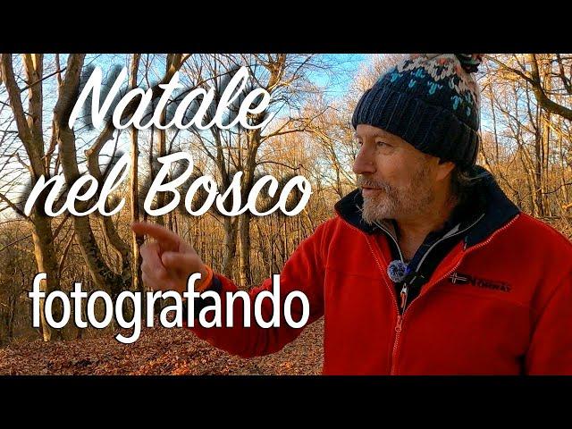 Natale nel Bosco per farvi gli Auguri