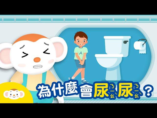 【身體小知識】為什麼會尿尿?｜小行星樂樂TV