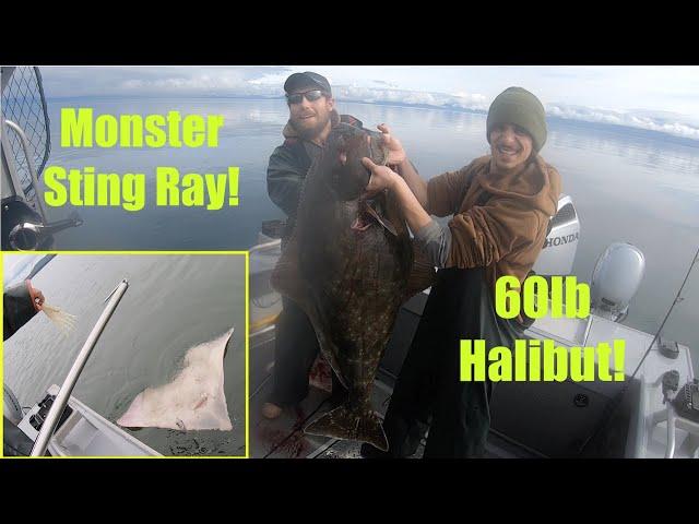 Awesome 60lb Halibut and Monster Ray! Halibut Fishing - Petersburg, Alaska! SEPTEMBER 2020