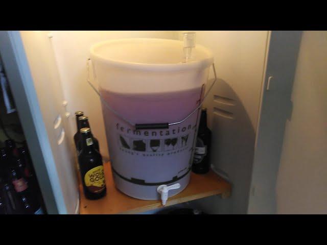 Kegging homebrew fruit cider into Cornelius keg.