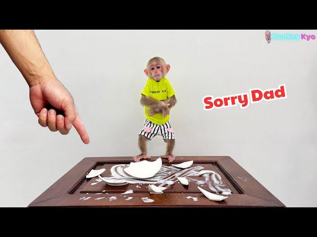 Monkey Kyo drops a bowl, hides, then says sorry to Dad – Hilarious!