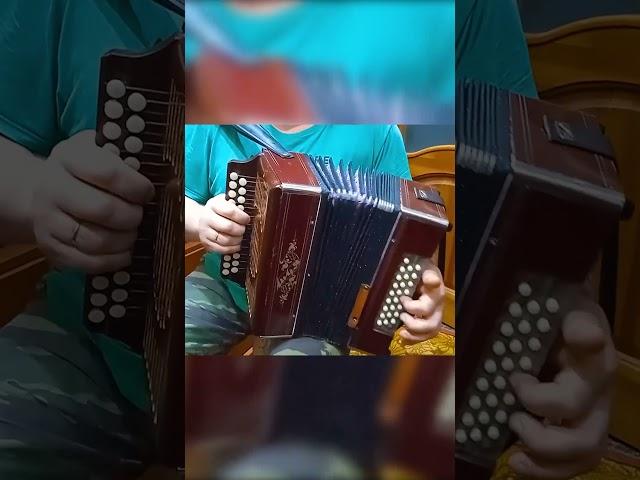 Когда б имел золотые горы ! 3 аккорда 300 песен как быстро научиться играть на гармони урок