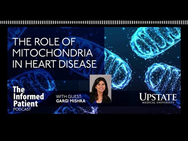 Microscopic 'traffic jams' studied for possible cardiac effects