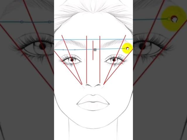 How eyebrow mapping ￼