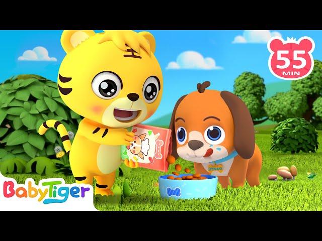 小狗狗賓果 | TOP熱門兒歌 | 經典歌曲 | Nursery Rhymes | 兒童學習 | 兒歌童謠 | babytiger 中文 | kids Songs