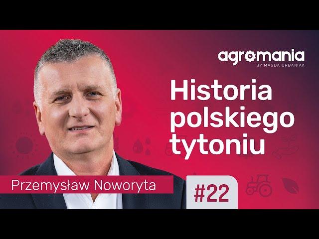 Tytoń – nasz czołowy produkt eksportowy  | AGROMANIA | Magda Urbaniak