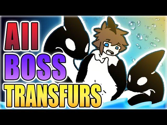 Changed Special Edition ALL BOSS TRANSFURS 2024