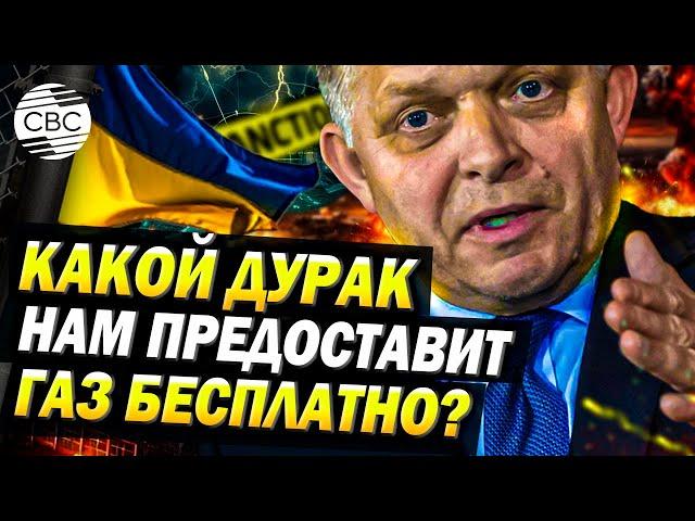 Фицо назвал предложения Зеленского по российскому газу абсурдными