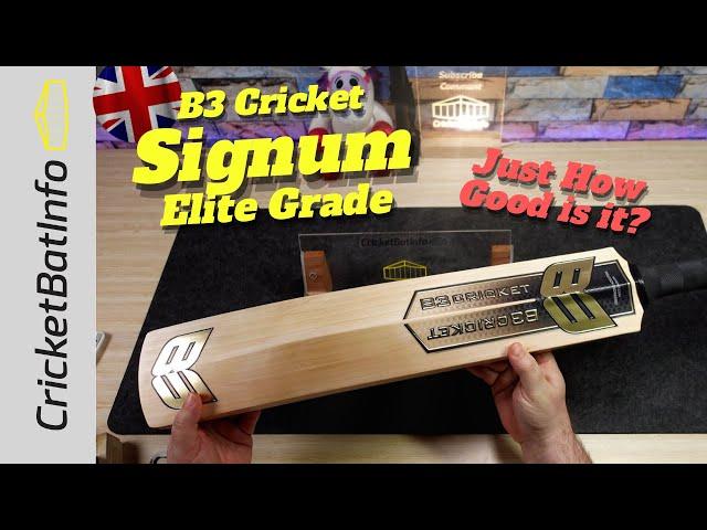 How Good is the B3 Cricket Signum Bat?