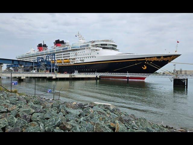 Disney Cruise Wonder. Review Beginning to End. Room, Food, Facilities, Party, Kids Club. Look Inside