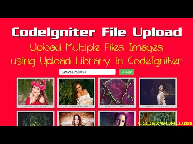 Upload Multiple Files and Images in CodeIgniter