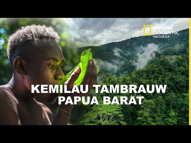 KEMILAU TAMBRAUW YANG MEMUKAU