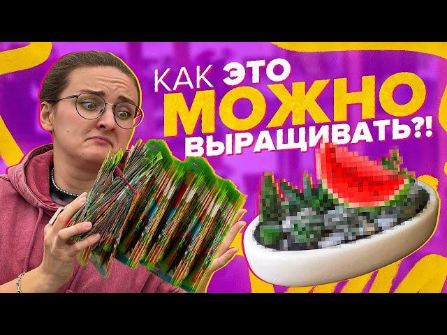 САМЫЕ АРБУЗЫ, КАБАЧКИ И ТЫКВЫ!