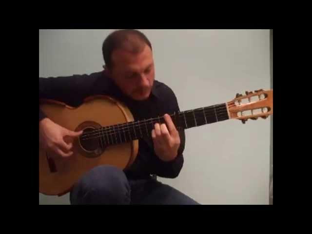 PIRATES OF THE CARIBBEAN - Flavio Sala, guitar