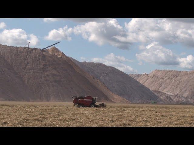 В Солигорском районе стартовала уборочная кампания