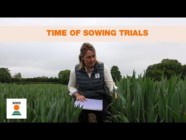 Time of sowing trials @ PDF East