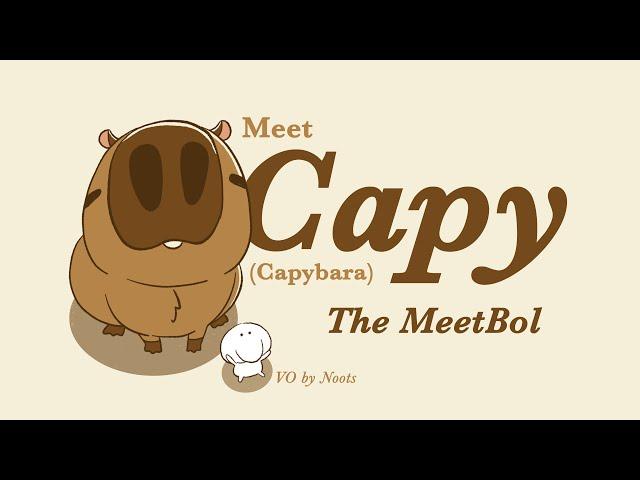 Meet the MeetBolz | Capy the Capybara