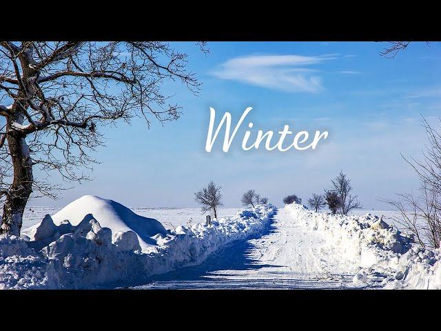 Magical music of winter. Snow fell! One of the most beautiful, magical winter melodies! WINTER, SNOW