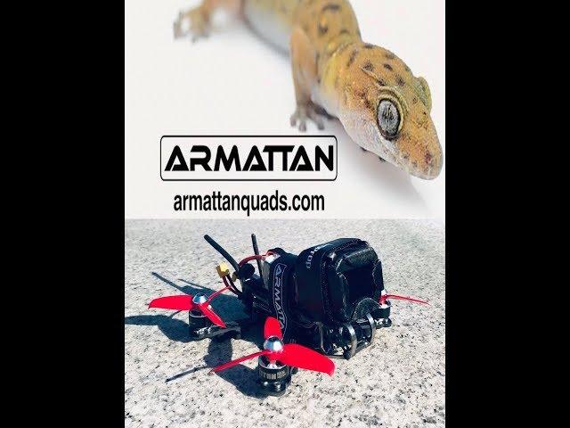 G E C K O / Armattan Gecko / Russell FPV FreeStyLe