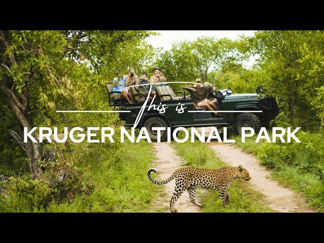 Kruger National Park, South Africa | Safari365