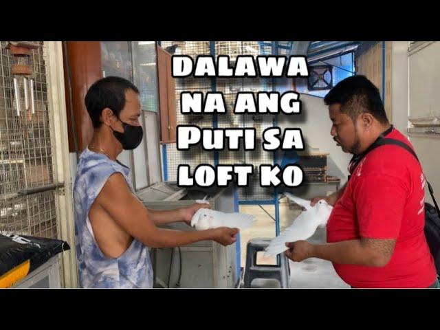 DALAWA NA ANG PUTI SA LOFT KO |Reggie Cruz Loft & Aviary #reggiecruzloftandaviary #reggiecruzloft