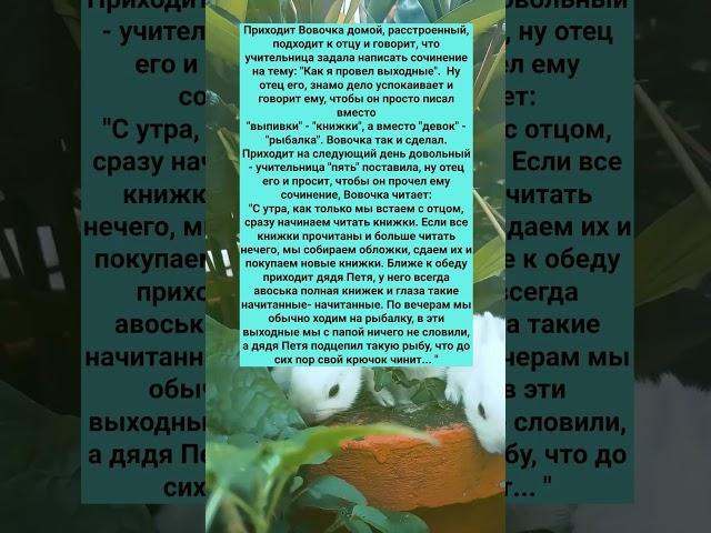 СТАРЫЙ АНЕКДОТ ПРО ВОВОЧКУ #анекдоты #Юмор #История #Жизнь #Анекдот #Прикол #США