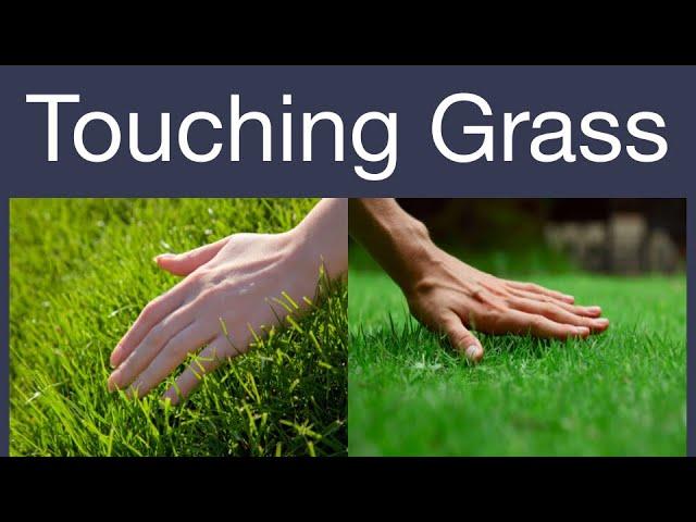 A language where you touch grass (Agma Schwa Cursed Conlang Circus)