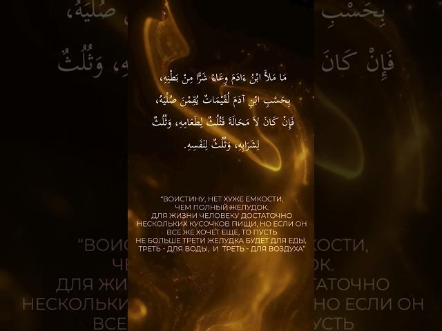 Как питаться по Исламу? #думу #ислам #исламскиевидео #киев #сунна #мусульмане #знания #питание