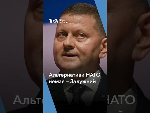 "Україна має отримати гарантії безпеки на наступні 100 років," — Валерій Залужний.