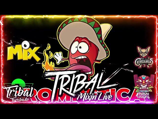 Tribal Mega Mix Febrero 2022  Lo Mas Chingon Del Tribal Mix  Tribal Tumbado Mix HD Sound