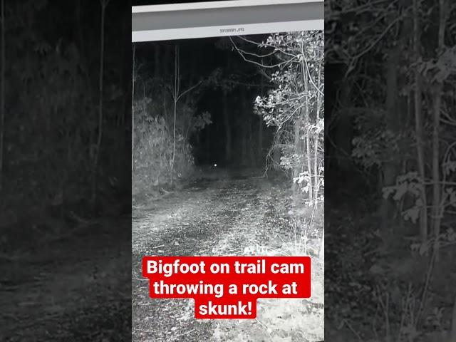 Bigfoot on Trail Camera Throwing a Rock at a Skunk! | Squatch Watchers Short Rewind