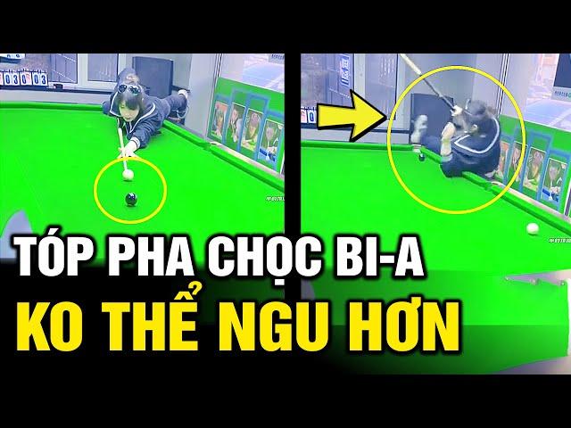 Tàu khựa chơi BI-A theo kiểu những thằng nguy hiểm nhất hành tinh | Hài tin việt  | Tô Tin Tức