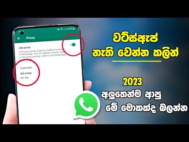 Whatsapp New Proxy Update 2023 | Whatsapp New Update Sinhala | Tech S Geek