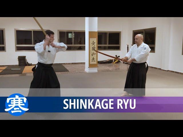 Shinkage Ryu Practice