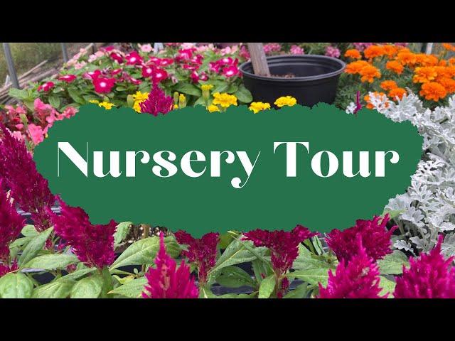 Our FULL Nursery Tour - Building a Nursery Business from nothing.