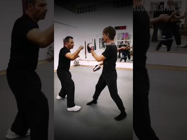 ~Jeet Kune Do~ Ping Choi & Biu Sau & Pock Da.