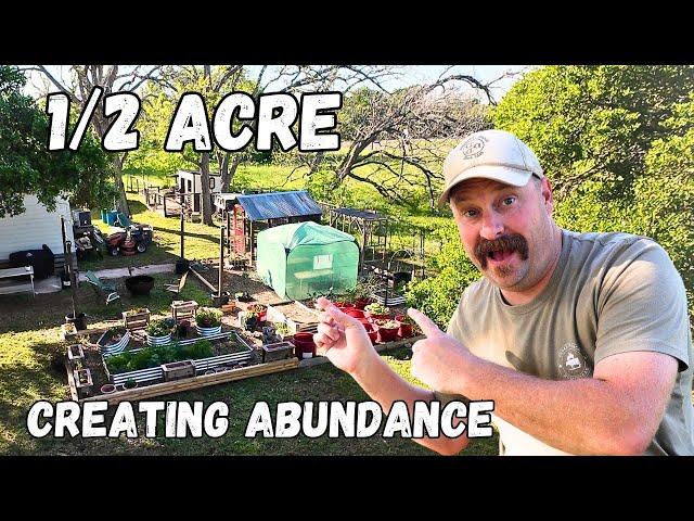 Creating Abundance on Our Half Acre Homestead