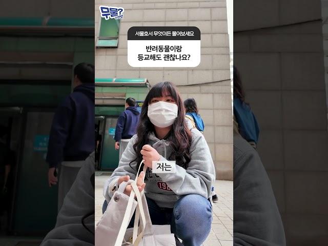 수업 끌려가는 강아지 입장도 들어봐야,, | 서울호서 무물