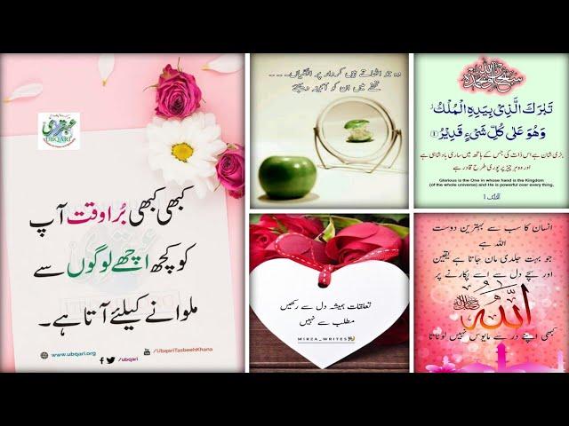 Best Urdu Quotes | Amazing Quotes | Urdu Shayari | Islamic Status | Golden Words In Urdu