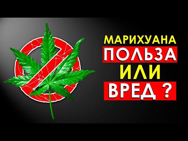 Что Будет с Телом, Если Курить Марихуану Каждый День (Польза или Вред?)