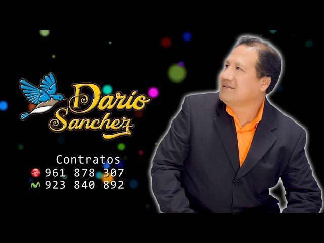 DARIO SANCHEZ " EL ANCASHINO " / EL IDIOTA / PRIMICIA