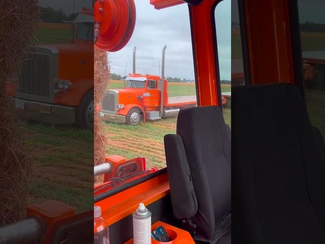 Hay Hauling Done Right with Jesse Bounds Trucking!  #hayhauling #trucking #haytransport #jessebounds