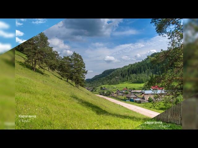 Караганка на фото Игоря Чепайкина.