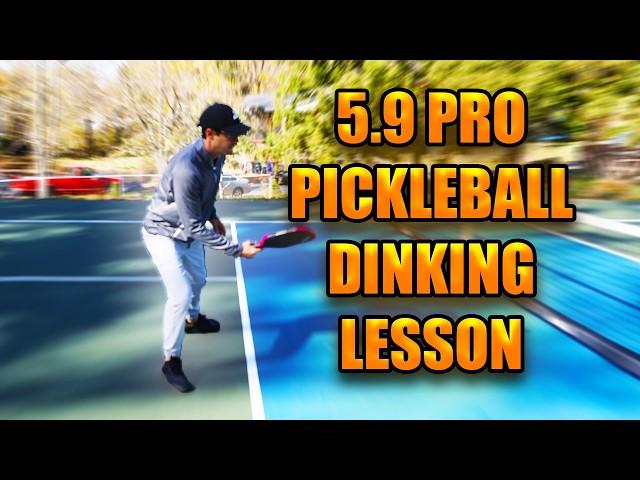 Full Pickleball Coaching Lesson: How to Dink Like a Pickleball Pro!