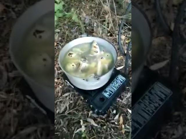 Вместо Воды самогон 