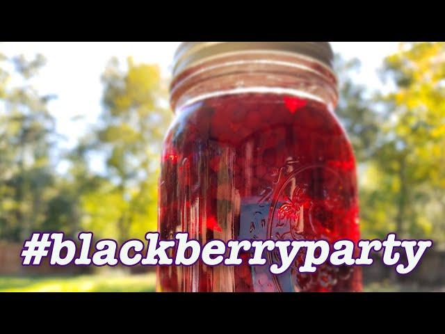 Distilling Blackberry Wine into Brandy!